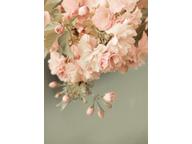nice flowers