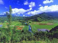 hill