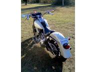 2002 Harley Davidson Fatboy FLSTFI 