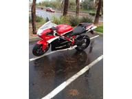Rain or Shine